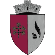 image38